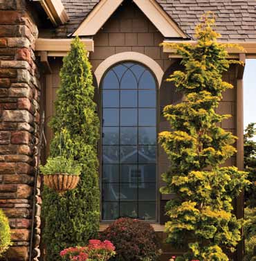 Specialty & Picture Windows | West Knox Windows & Siding